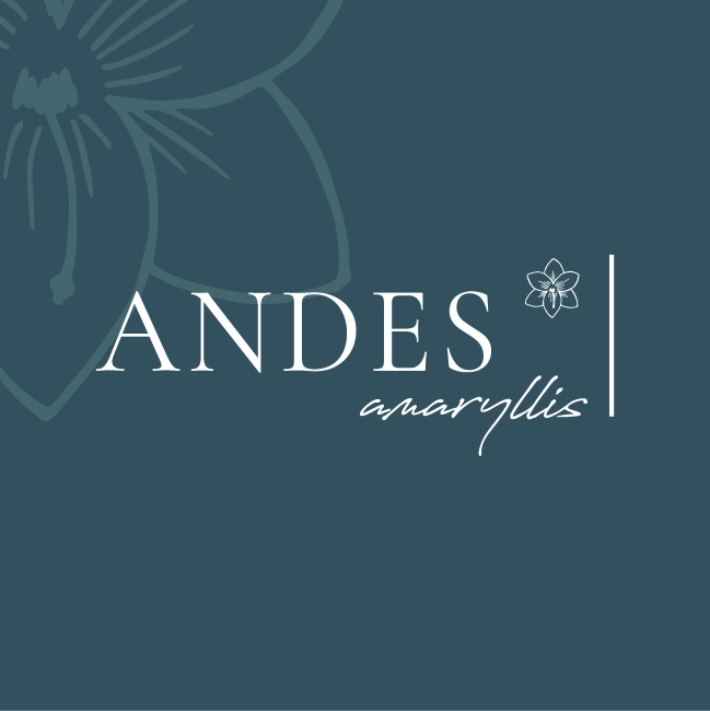 ANDES Amaryllis logo