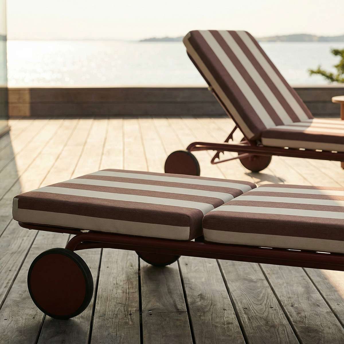 Mollis Sunbed
