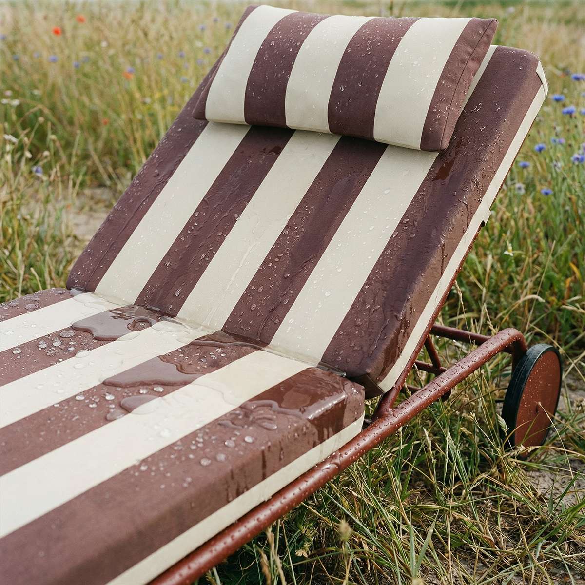 Mollis Sunbed